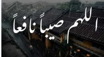 ما هي السنن النبوية المستحبة عند اشتداد الأمطار وتقلبات الطقس اليوم الخميس؟